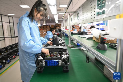 哈爾濱新區 技術服務涌動創新熱潮，引領產業振興