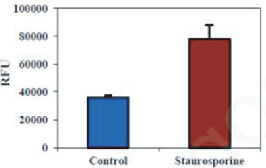 BBI細胞組學產品秋冬促銷火熱開啟，放開價勢無需再等